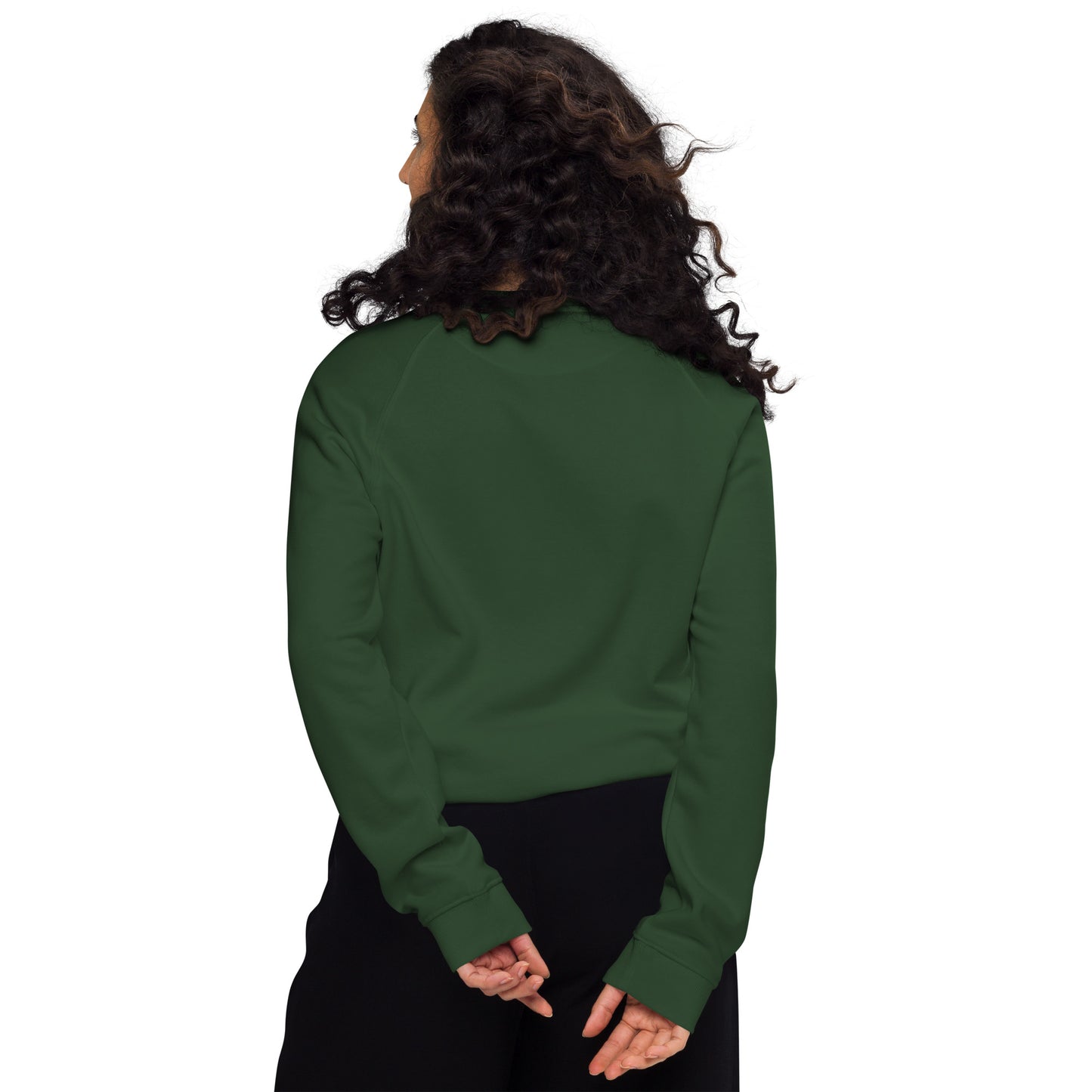 Unisex organic raglan sweatshirt Christmas Elements