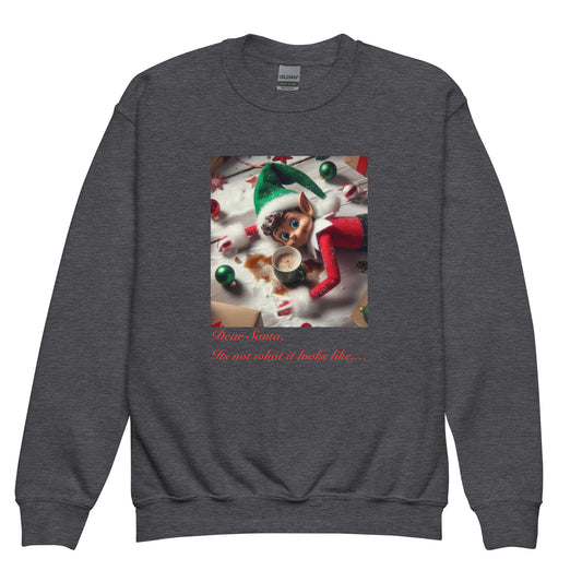 Youth crewneck sweatshirt Elf